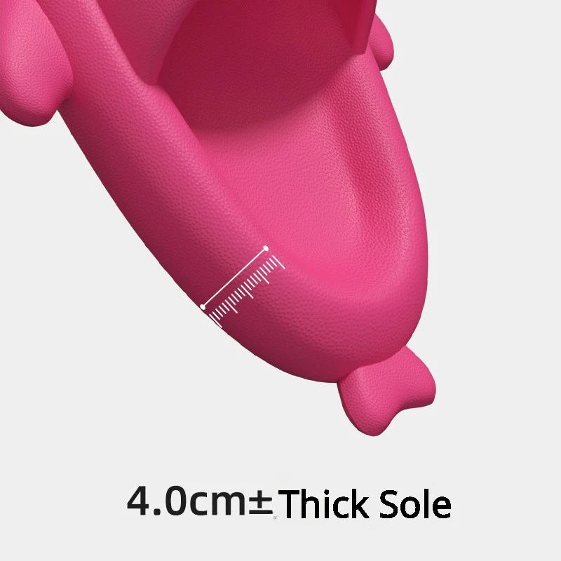 OrthoPro Shark Cloud Slides